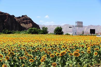 Fami通新一周销量榜 《超级马力欧派对 空前盛会》登顶